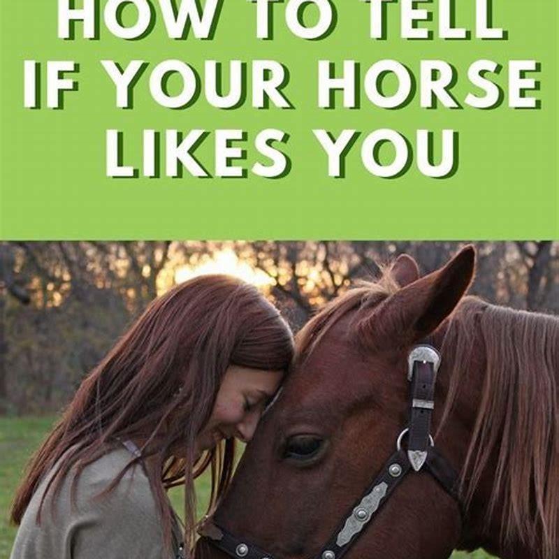 How do you tell if a horse likes you?
