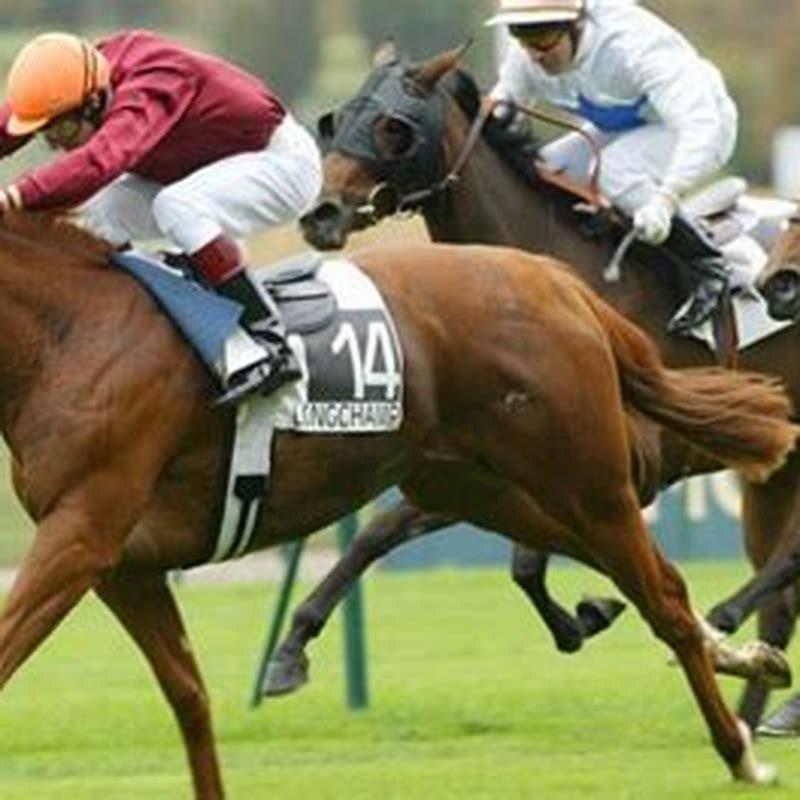 How do you win money in horse racing?