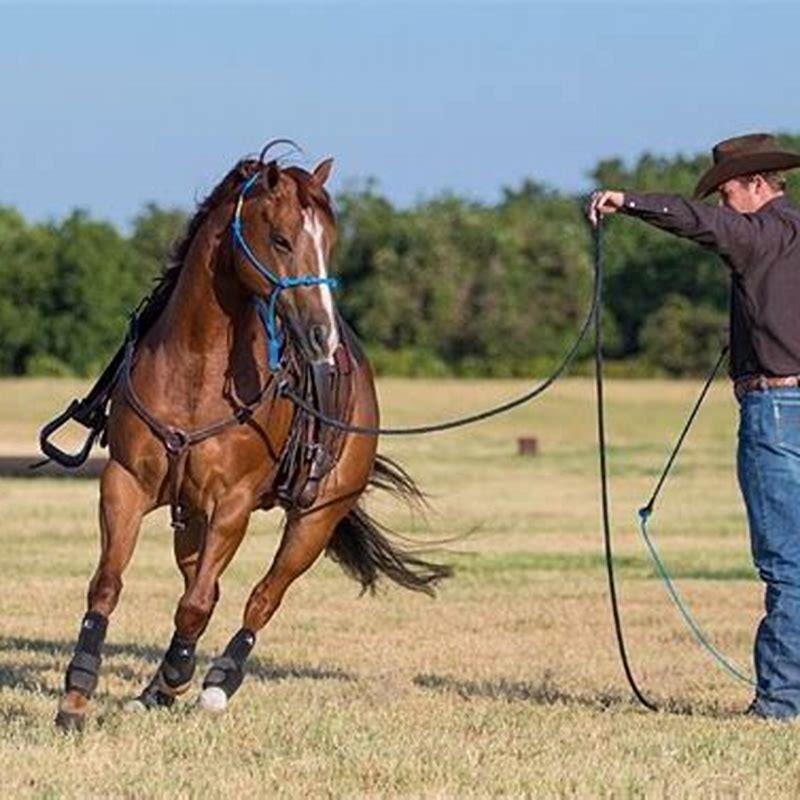 How does breaking a horse work?