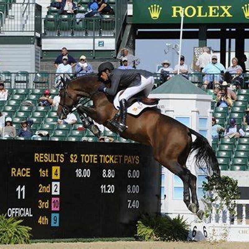 How long does it take for a horse to recover from dehydration?