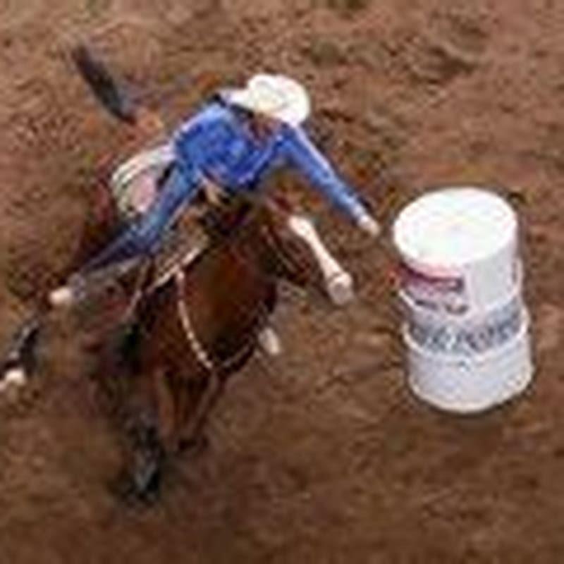 How long does it take to train a horse to run barrels?