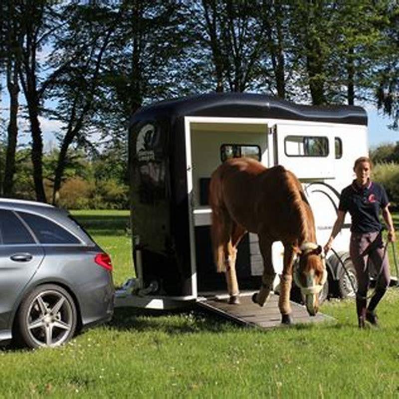 how-long-is-a-single-horse-trailer-diy-seattle