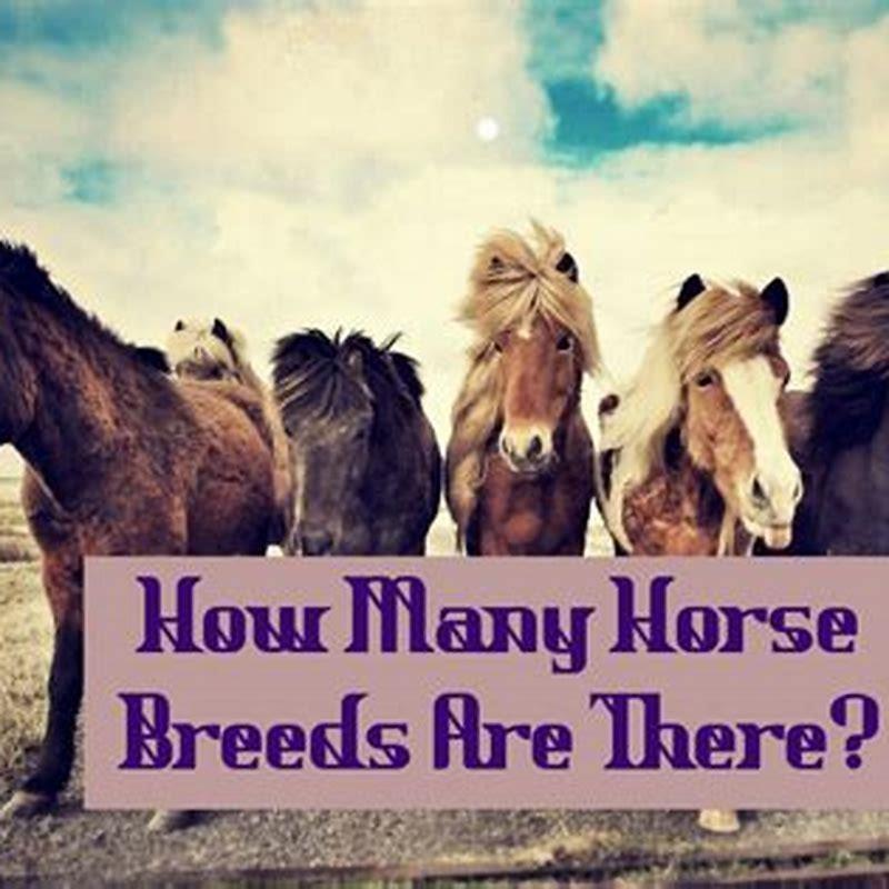 How many horse breeds are there in total?
