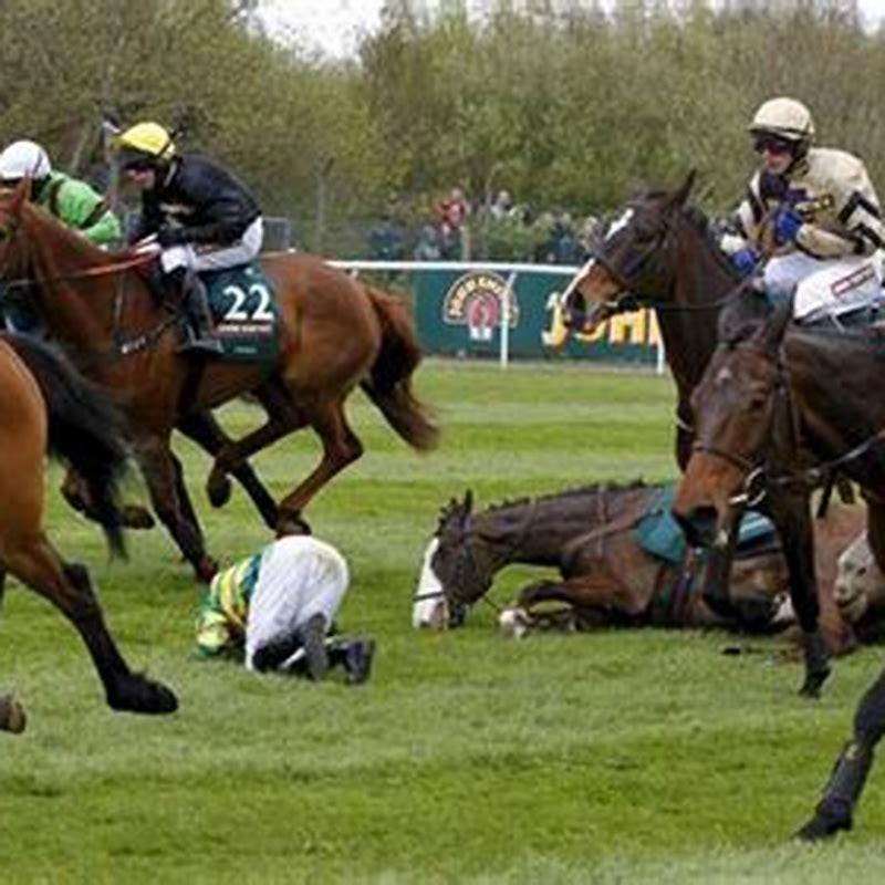 How many horse races are there in the UK each year?