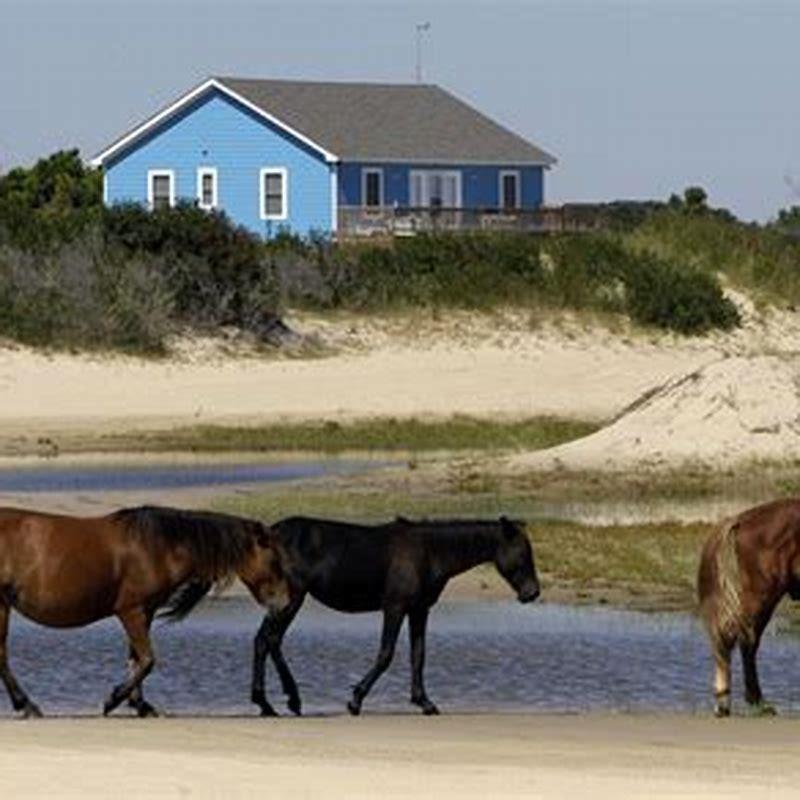 How many wild horses are in North Carolina?
