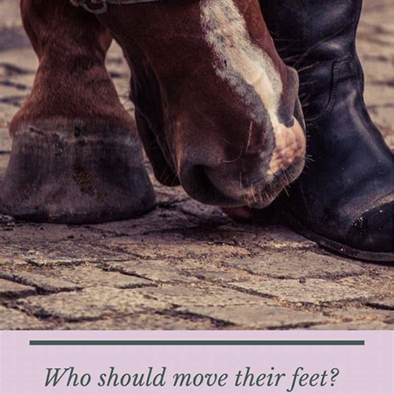 How should your feet be when riding a horse?