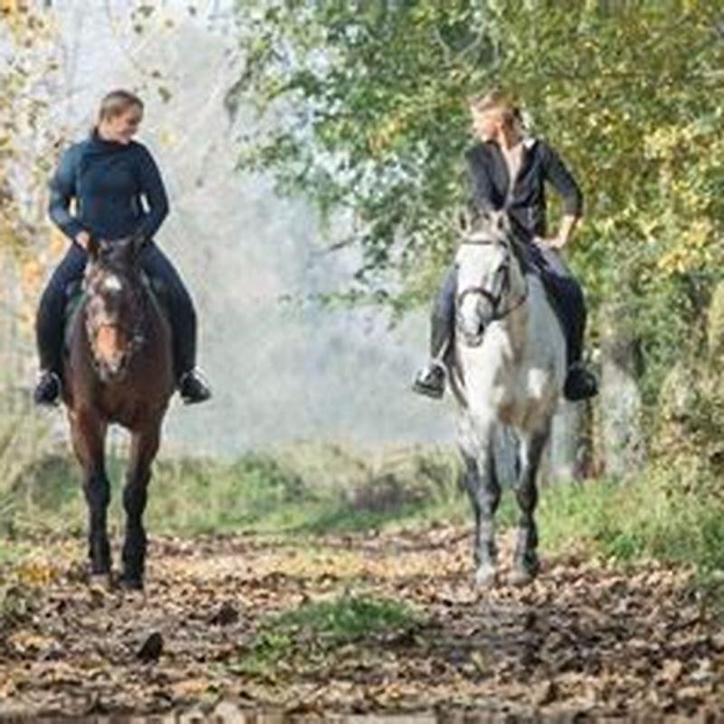 How tall should a horse be based on rider height?