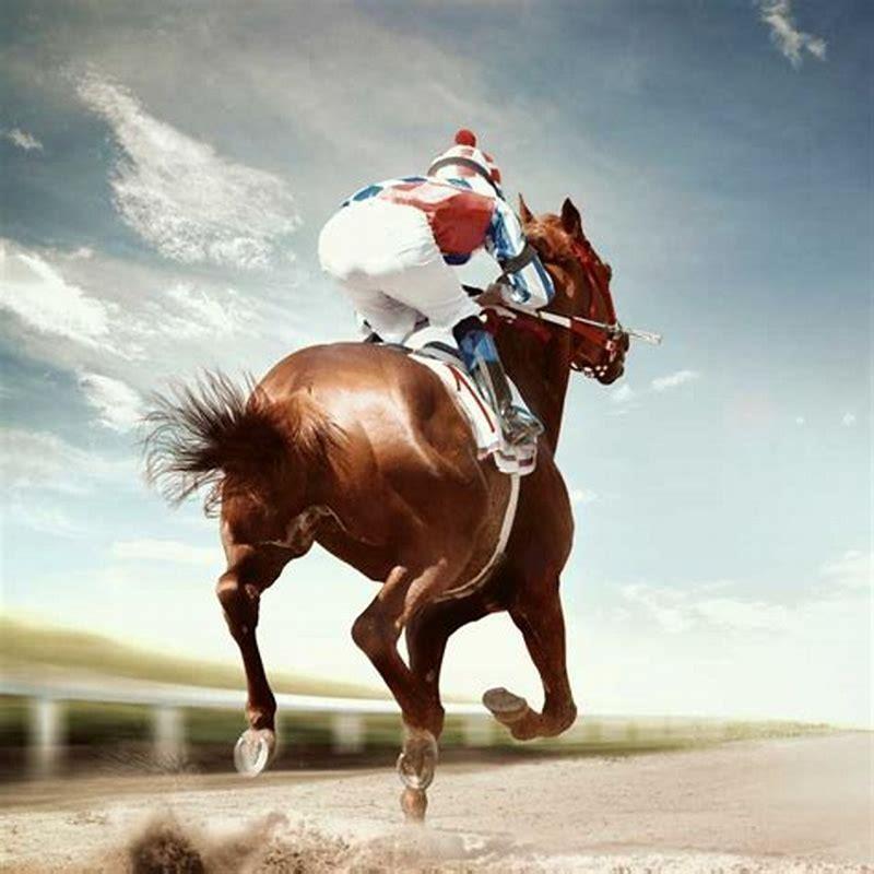 Is horse racing bad for the horse?