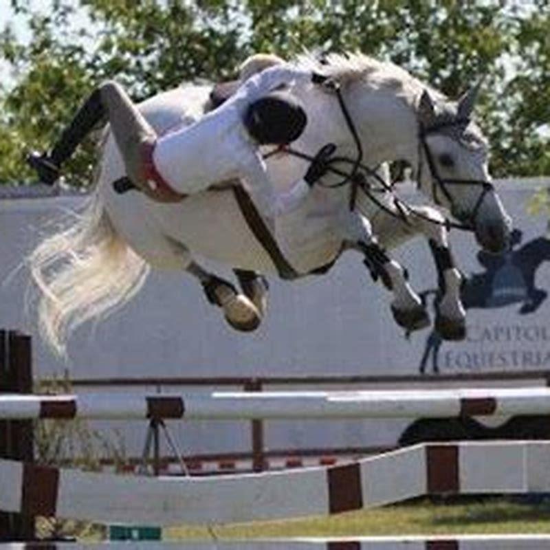 Is there a good way to fall off a horse?