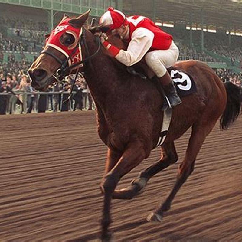 Was Seabiscuit a fast horse?