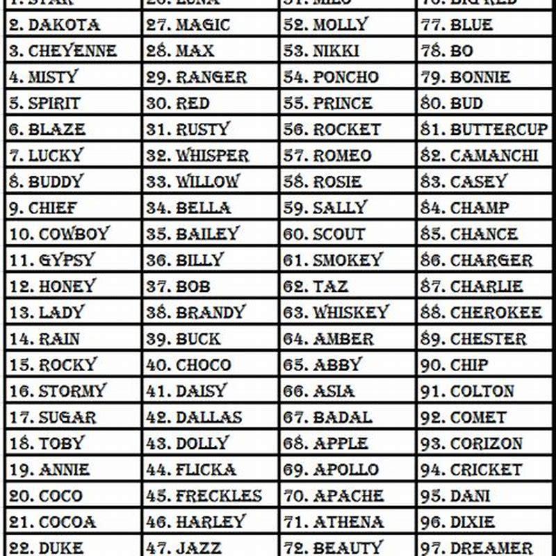 What are common names for a horse?