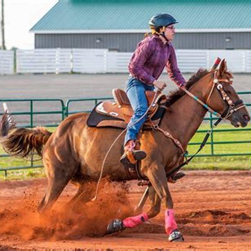 What Are Horse Riding Events Called DIY Seattle