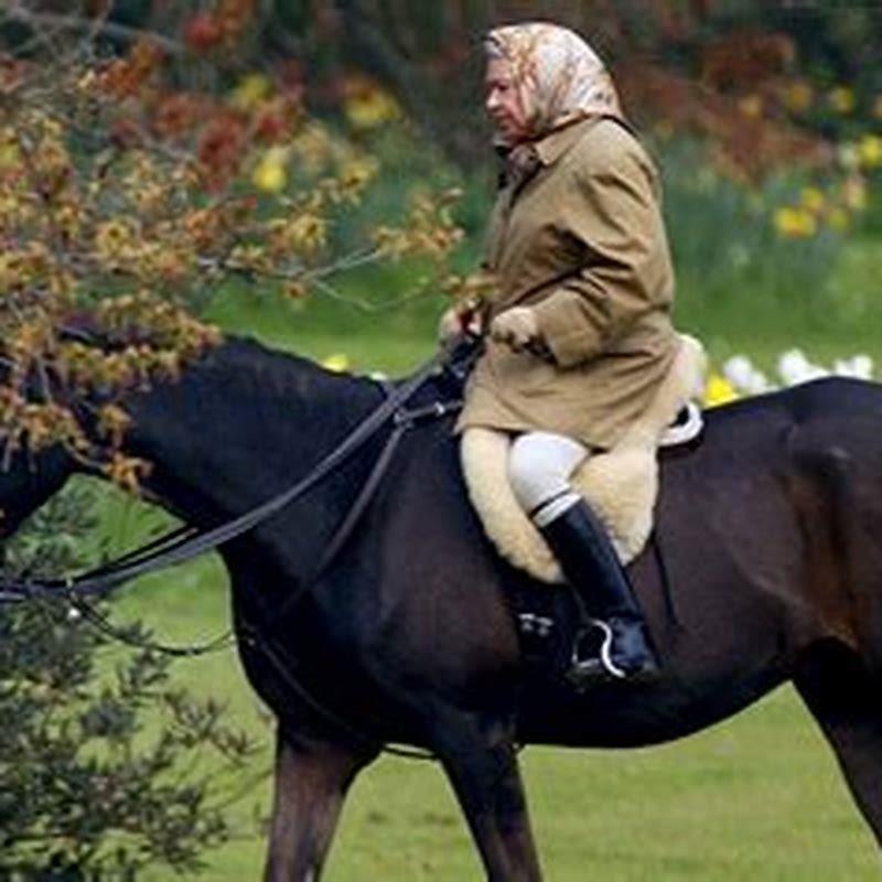 What are the Queens horses called?