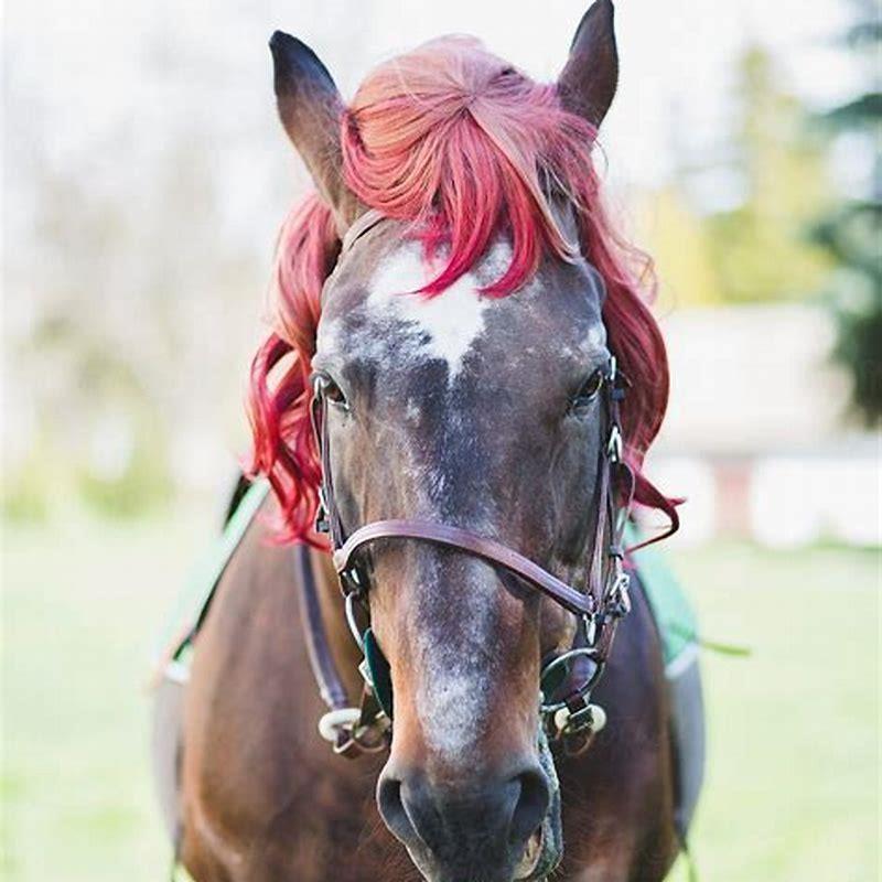 What are wigs for horses?