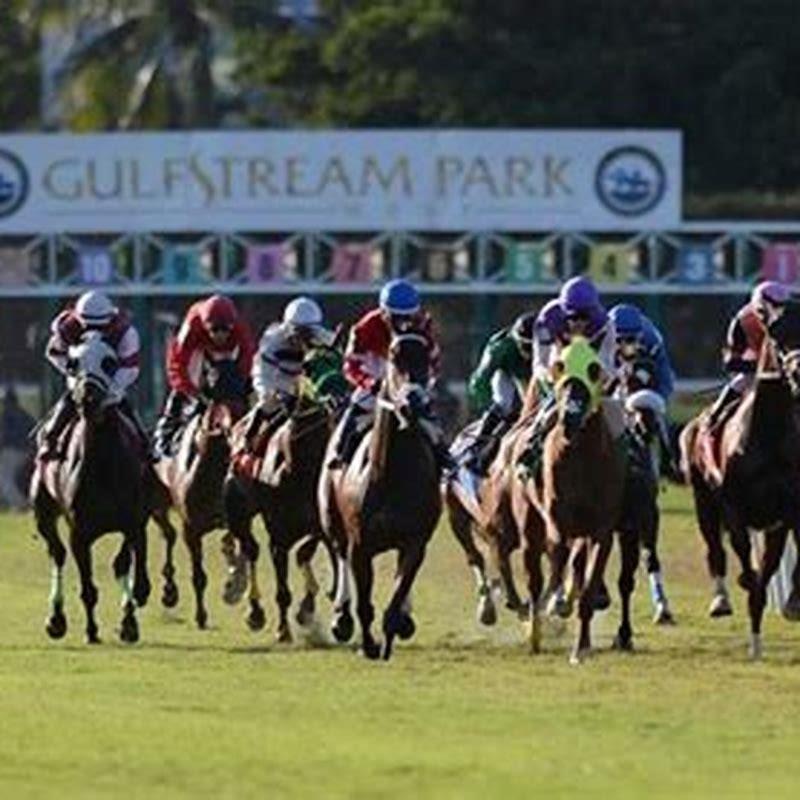 what-big-horse-races-are-coming-up-diy-seattle