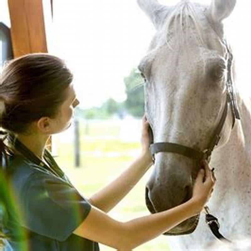 what-can-i-give-my-horse-for-diarrhea-diy-seattle