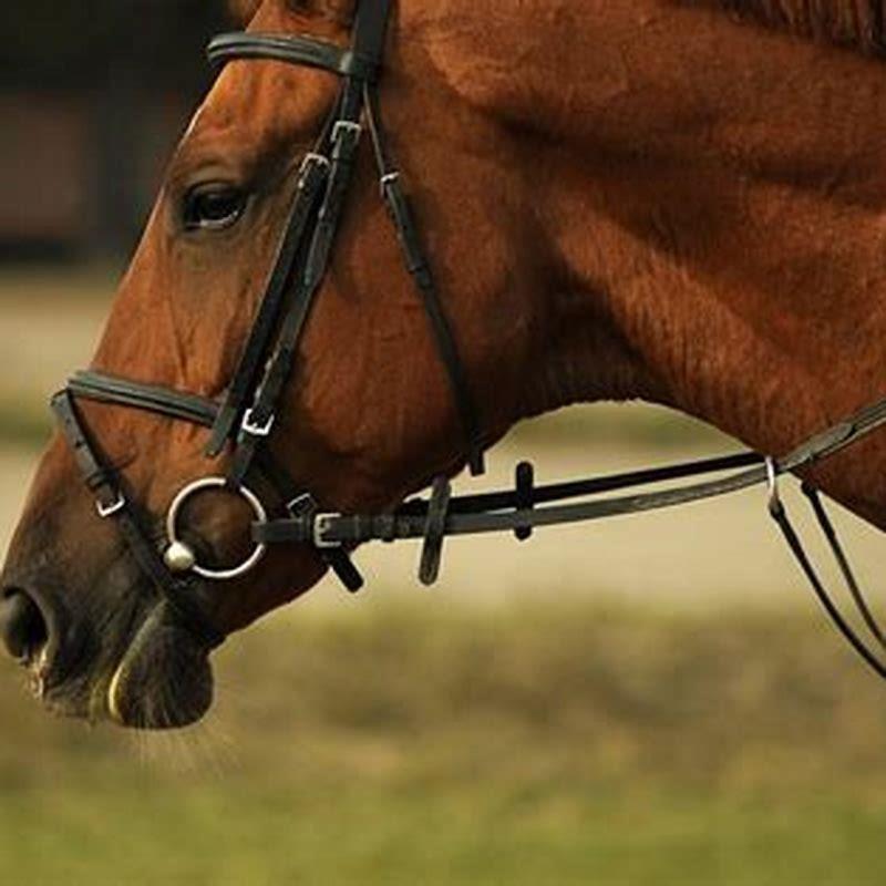 What can you make out of horse bits?