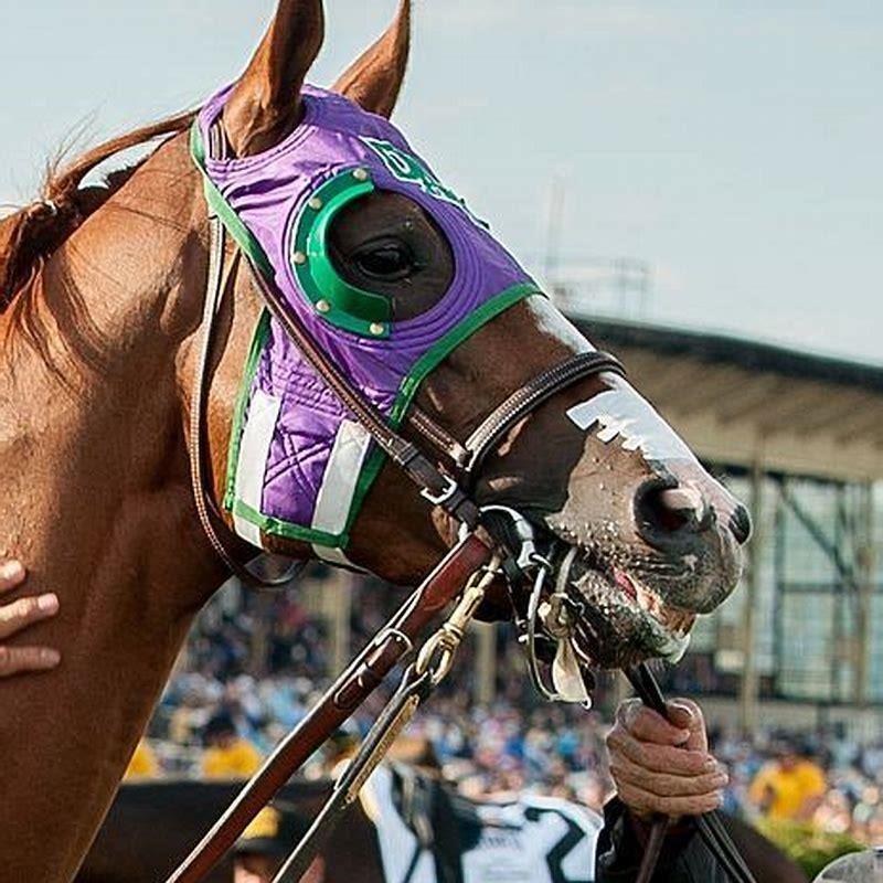 What do blinkers do for a racehorse?