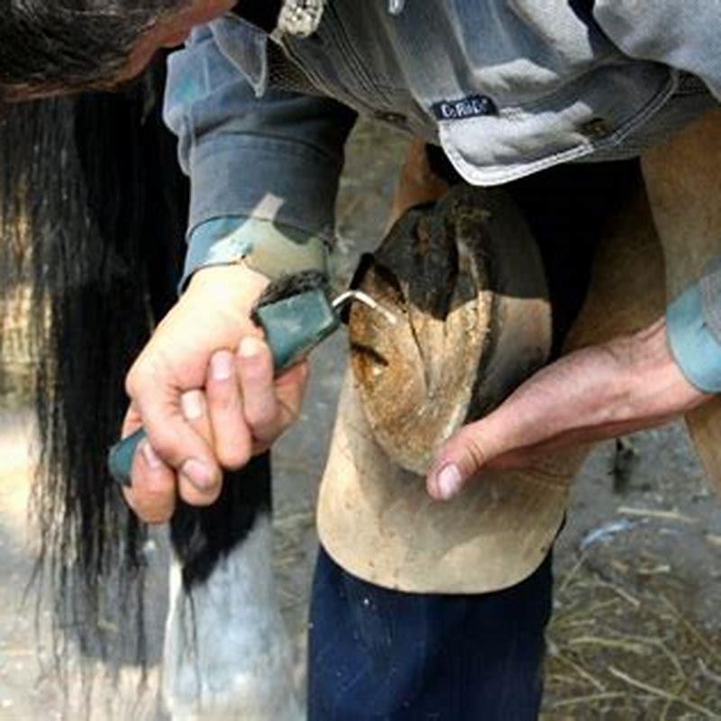 What do horse hooves make?
