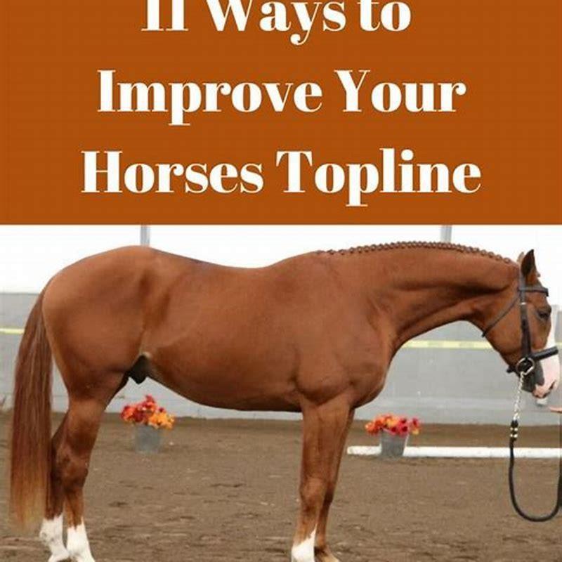What do you do with old horse tacks?