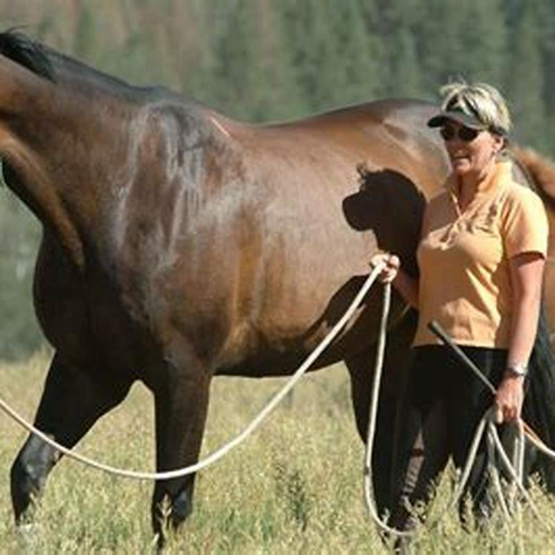 what-do-you-mean-by-horse-horse-diy-seattle