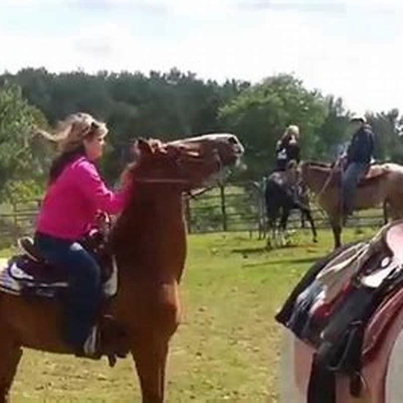 What do you say to a horse to go right?
