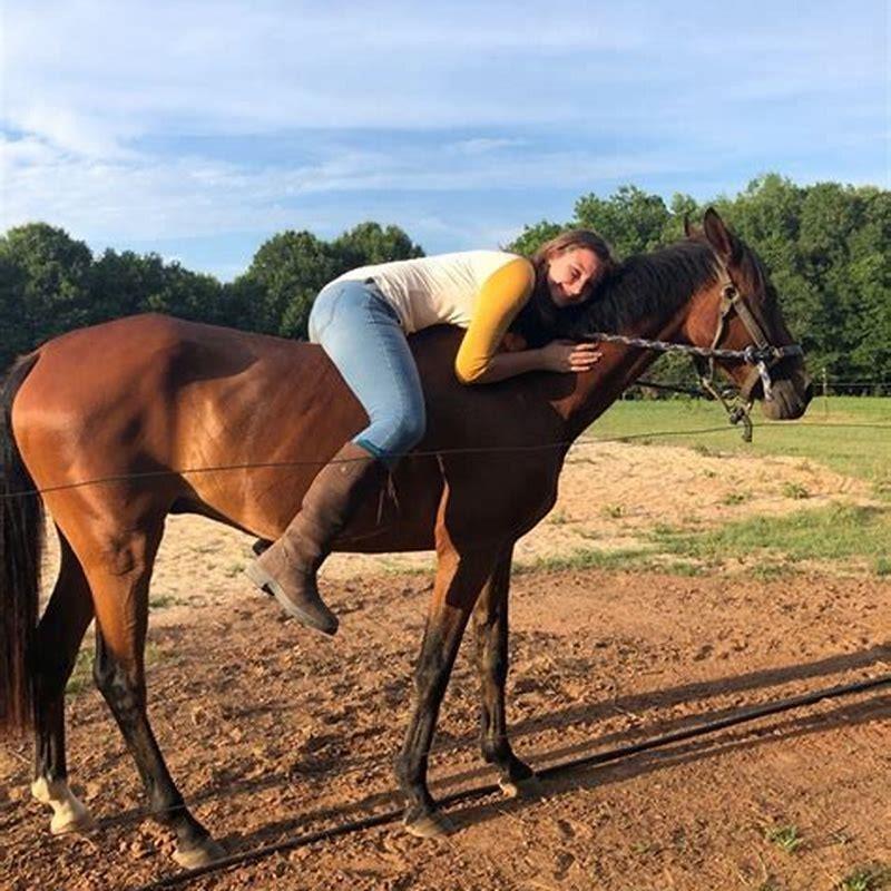 What does a horses view look like?