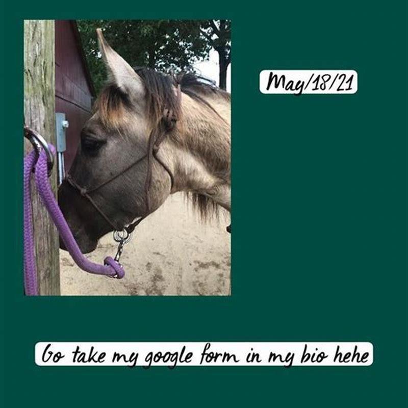 What does horse gram contain?