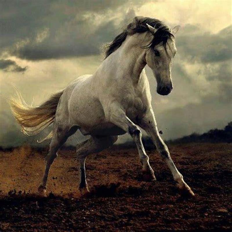 What does the horse represent in Spain?