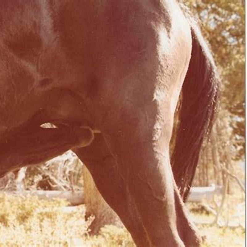 What happened to Tiggy the horse rider?