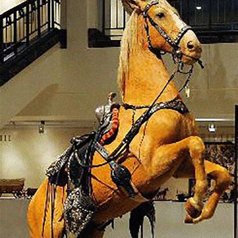 What happened to Trigger Roy Rogers horse?