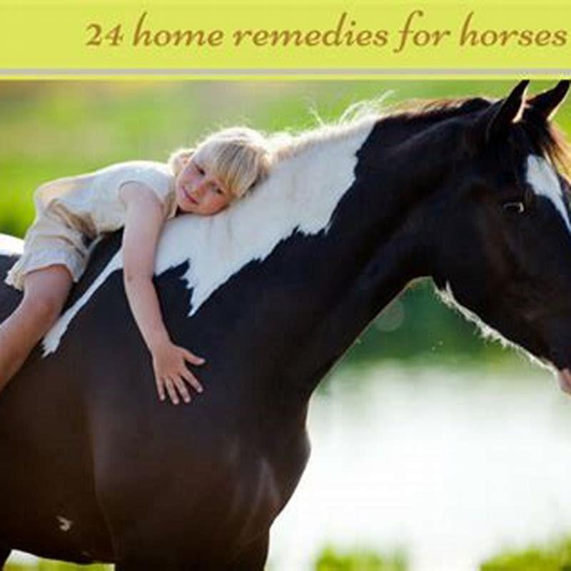 what-home-remedy-keeps-flies-off-horses-diy-seattle