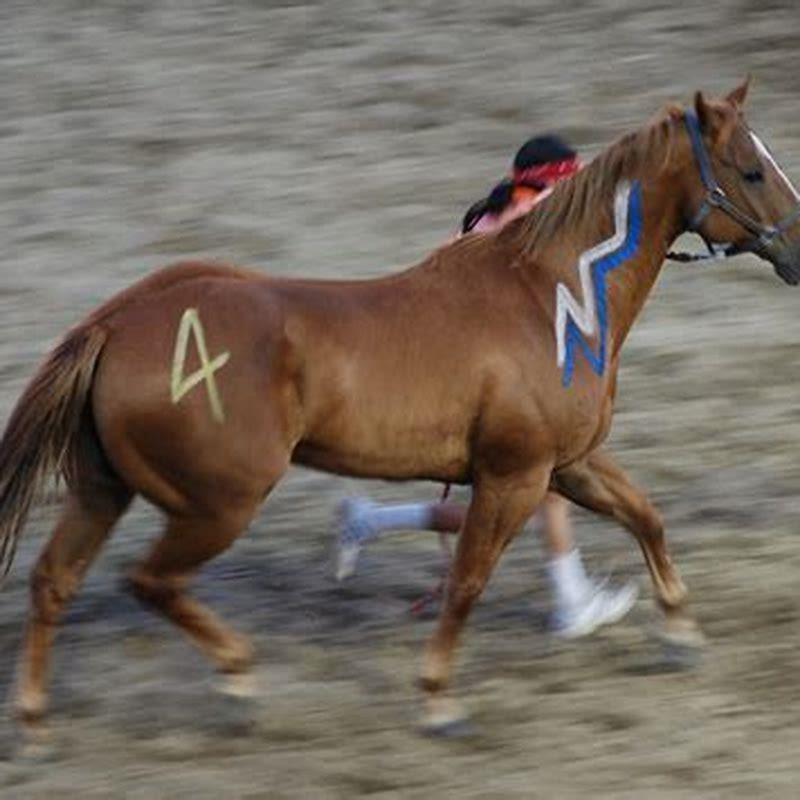 What horse is native to Africa?