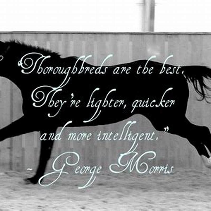 What horse says about girls?