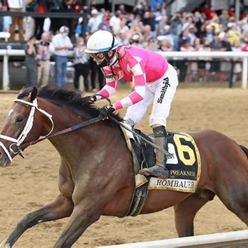 what-horse-tracks-are-racing-today-diy-seattle