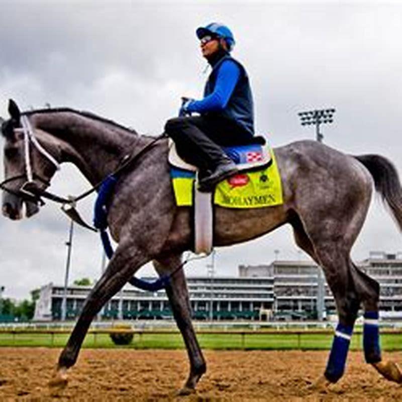 What horse won the KY Derby?