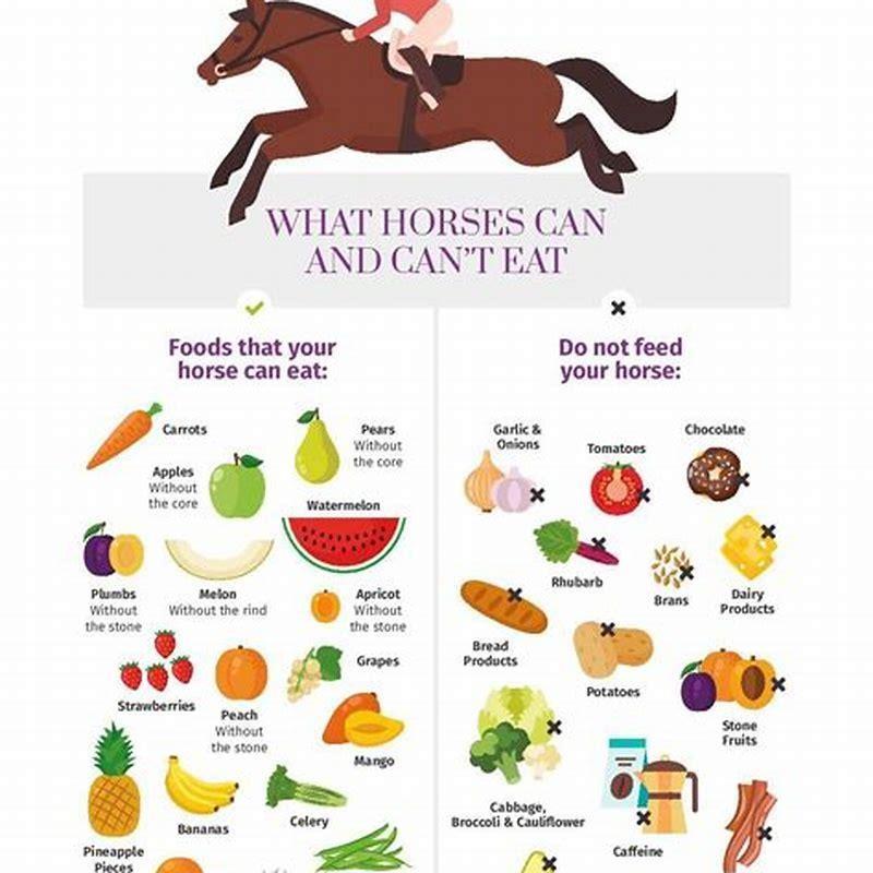What human food can I feed my horse?