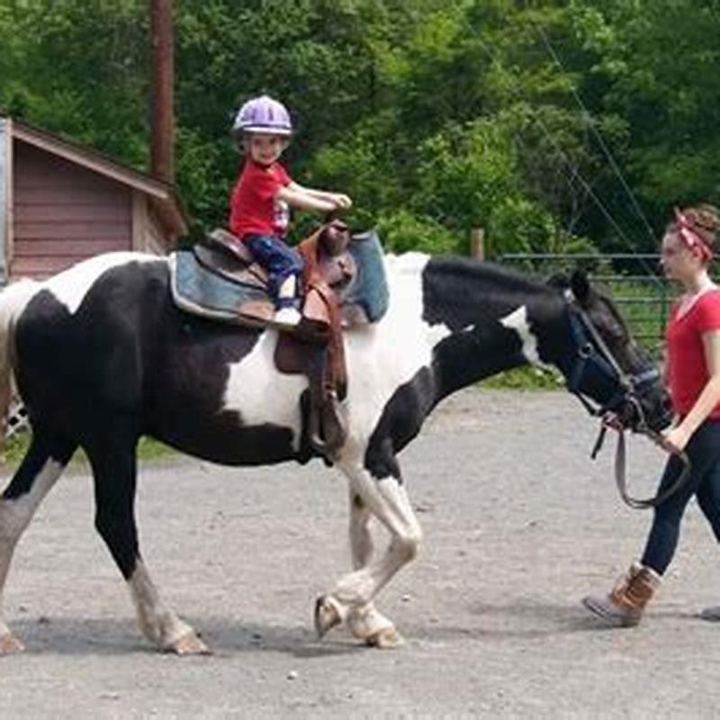 What is a horse riding area called?