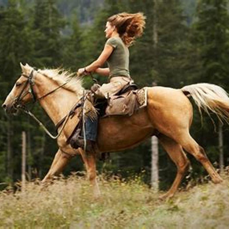 What is a person who rides a horse in a horse race called?