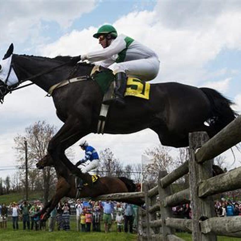 Steeplechase race