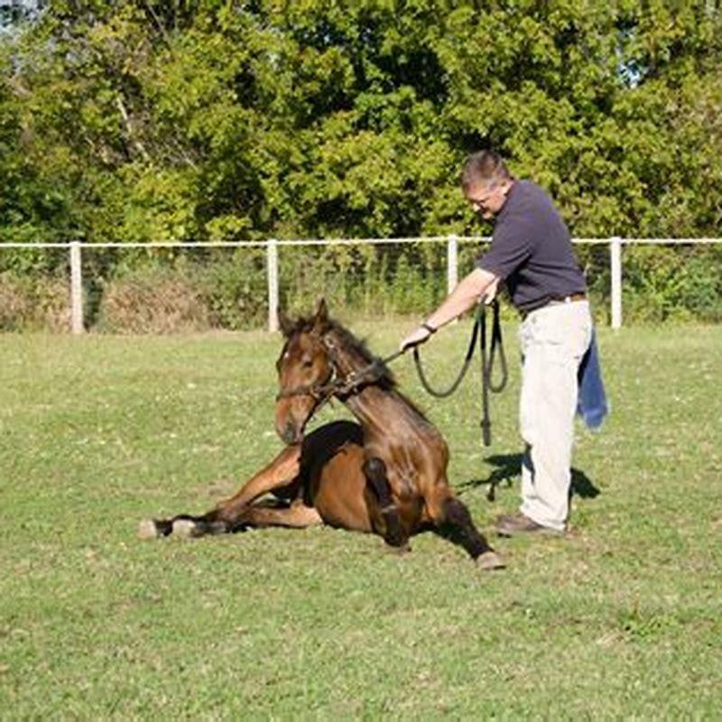 What is the best age to castrate a horse?