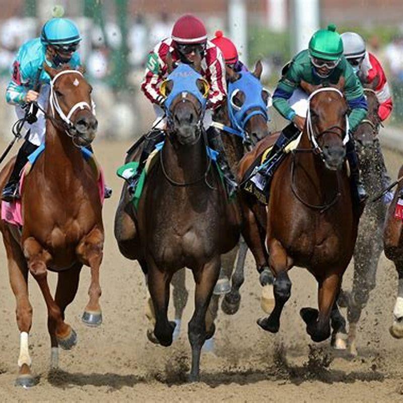 What Is The Best Horse Racing Bet? - DIY Seattle