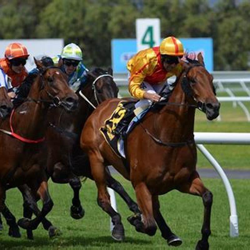 What is the best way to bet on horse racing?