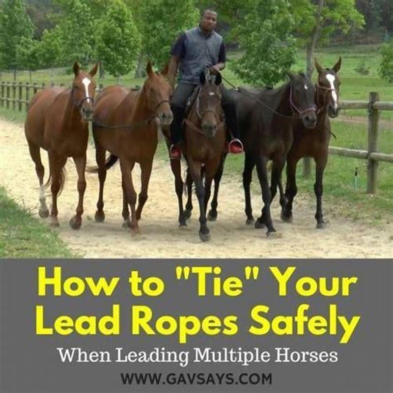 What is the correct way to lead a horse?