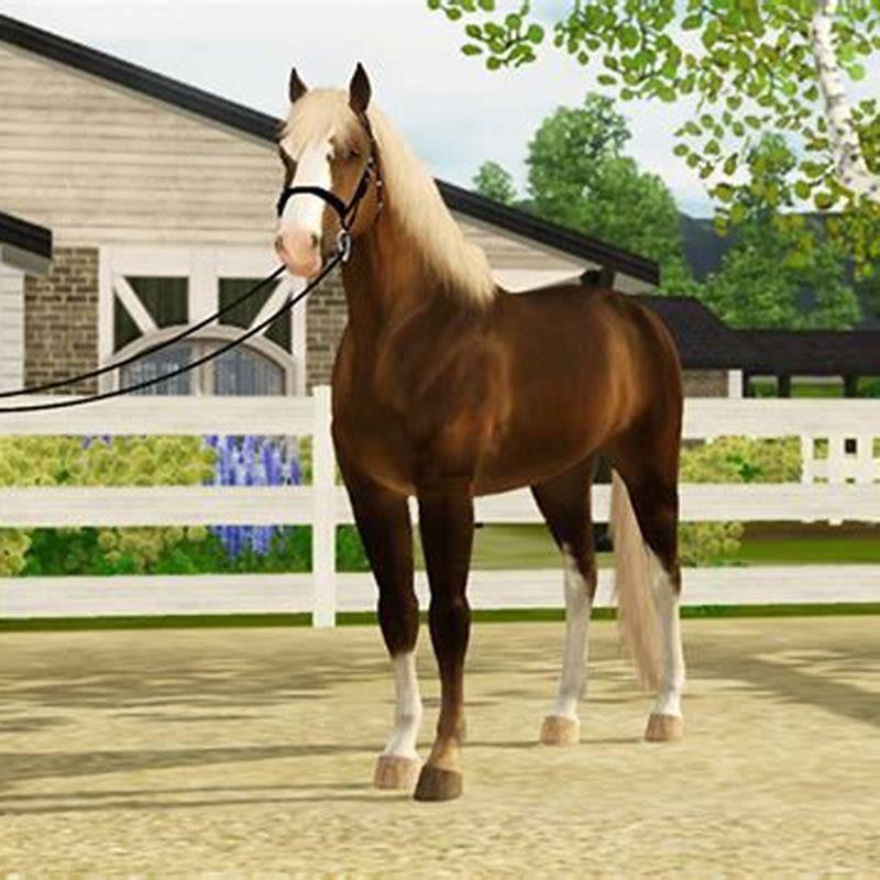 What is the Finnhorse used for?