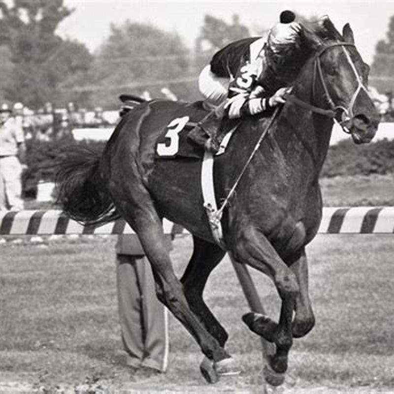What is the horse called that leads the race horse?