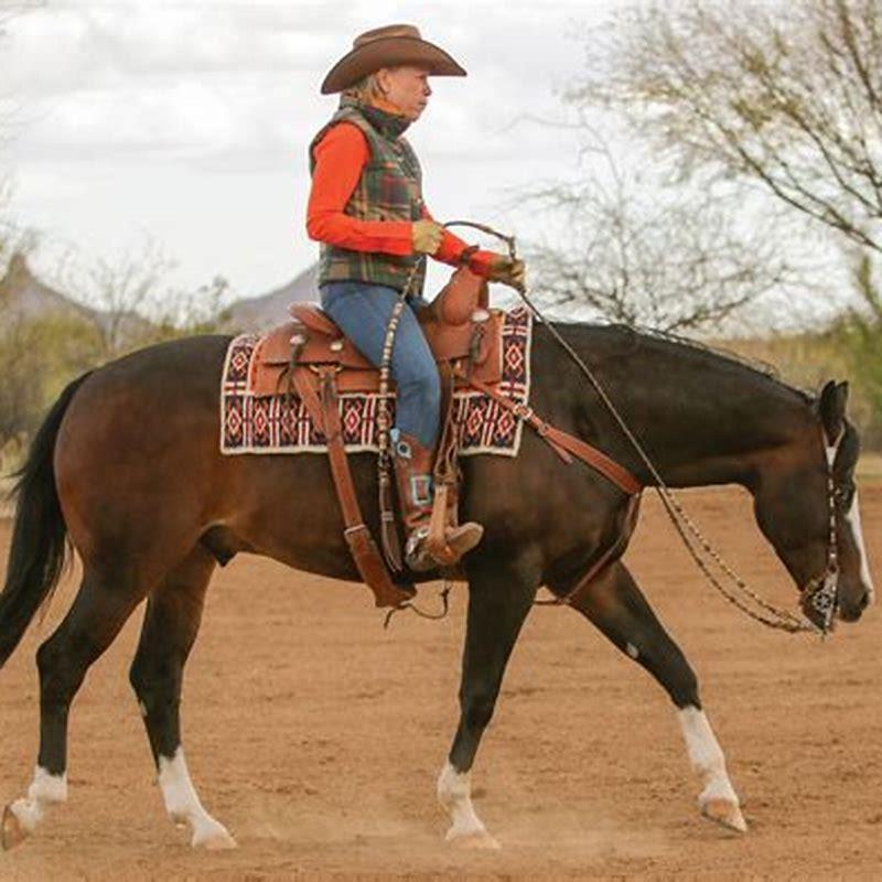 What is the purpose of a horse ranch?