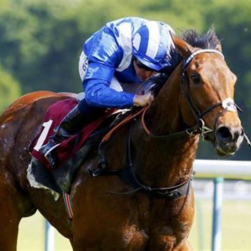 What is the second fastest horse in the world?