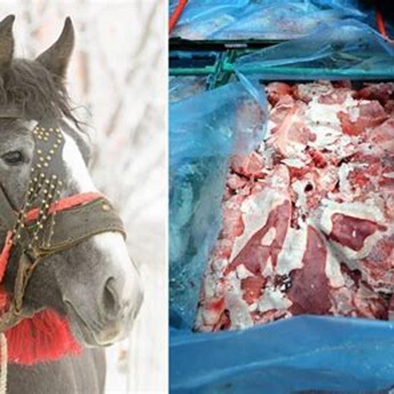 What kind of meat is horse meat?
