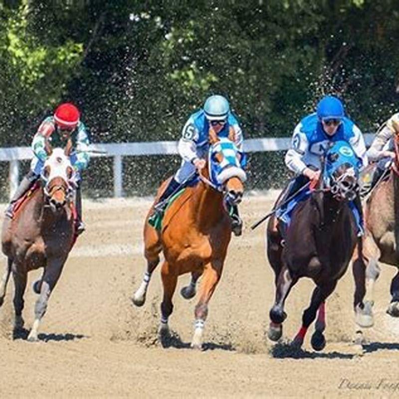 What states can you bet online horse racing?